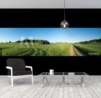 Picture of Panorama summer green field landscape with dirt road